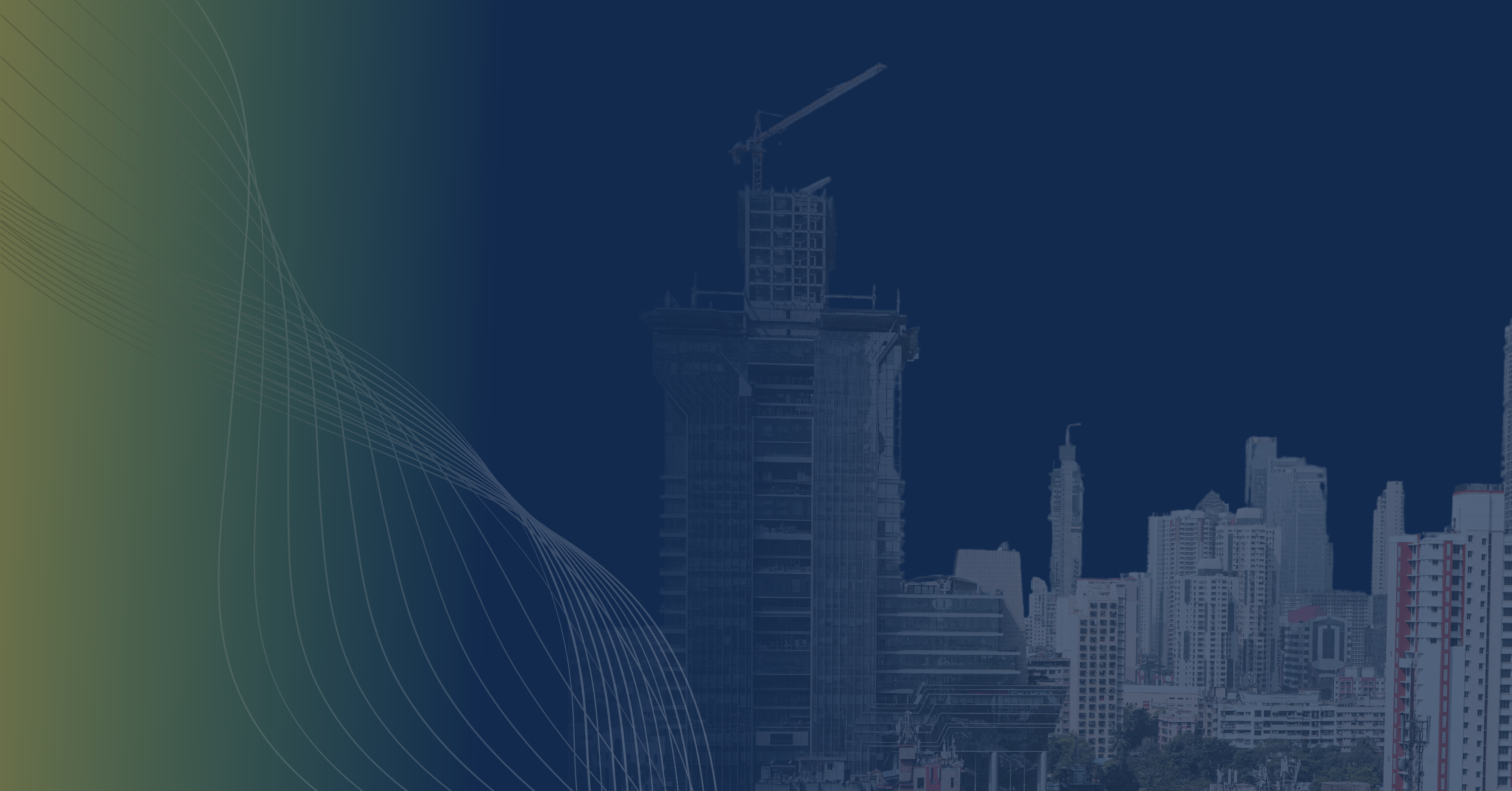 India is Not for Beginners: How to Enter, Survive, and Thrive in India